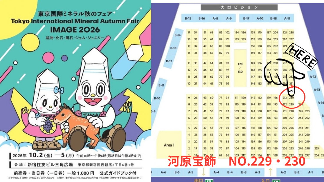 東京国際ミネラル秋のフェア IMAGE2026 出店のお知らせ