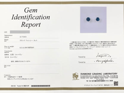 【新品】インディコライト 0.30/0.21ct Pt900 ピアス【新品】