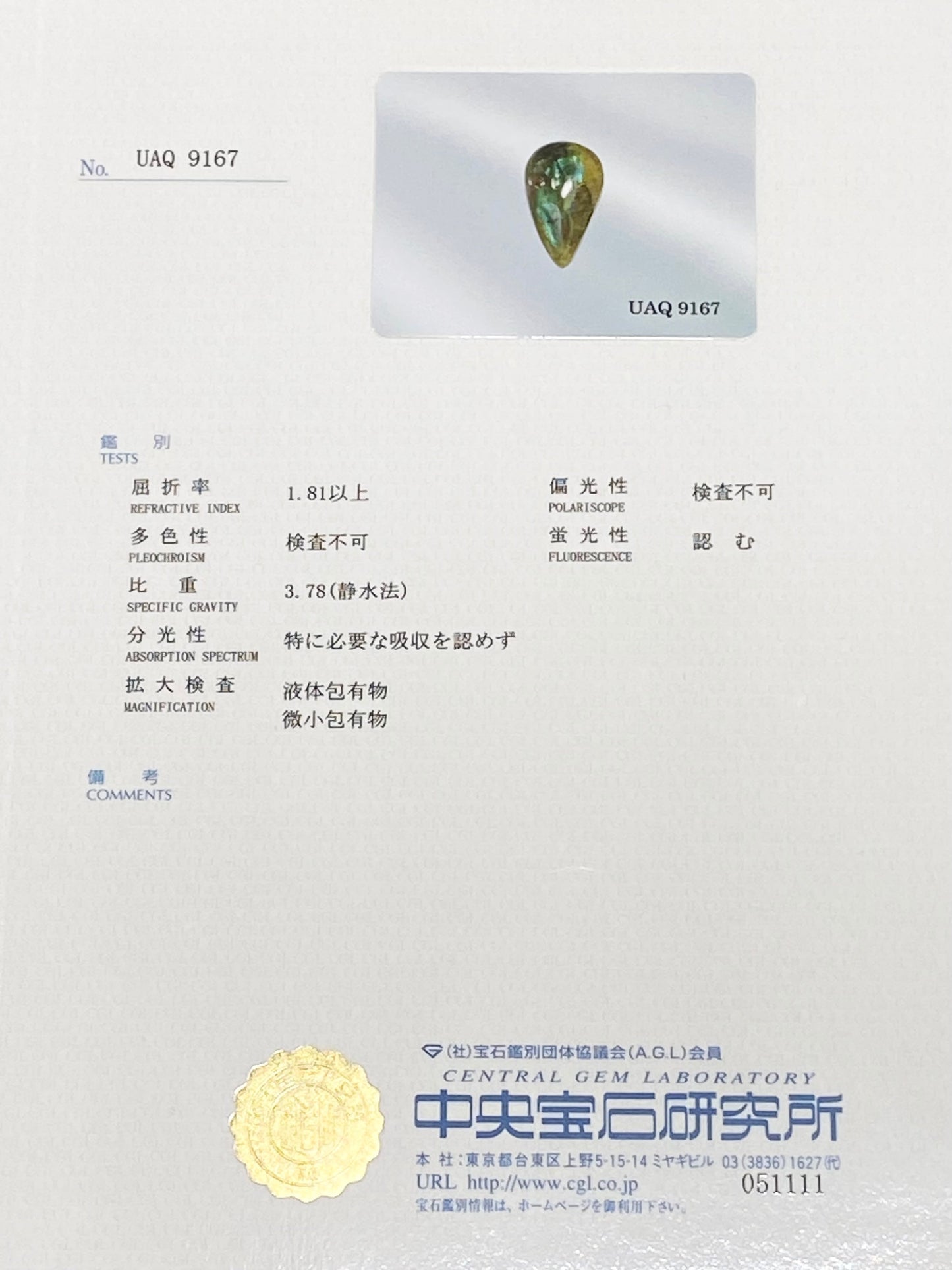 イリデッセンス・アンドラダイトガーネット 5.774ct ルース 8枚目