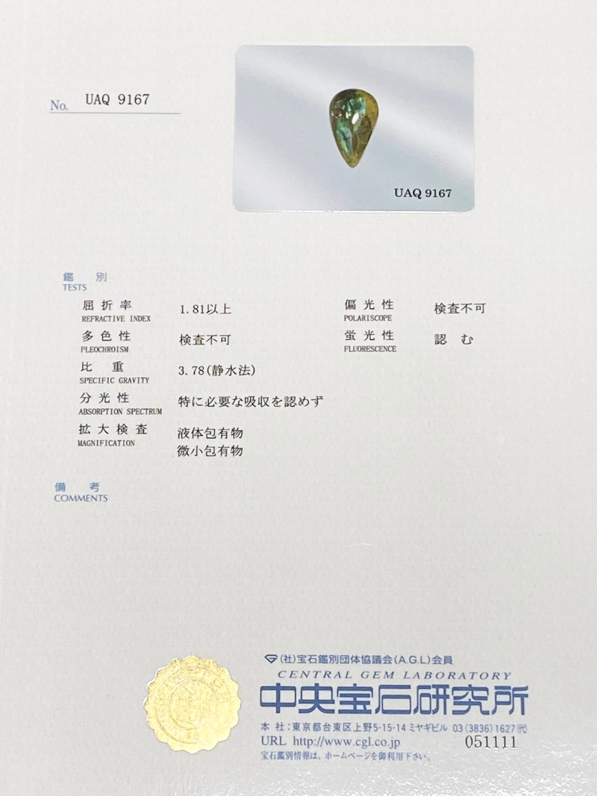 イリデッセンス・アンドラダイトガーネット 5.774ct ルース 8枚目